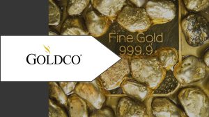 Let's take a look at Goldco company's full guide