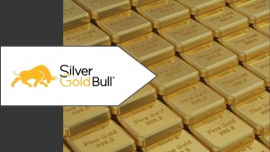 Read my in-depth Silver Gold Bull guide to understand what the company is about